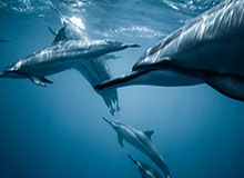 爱游戏官网-国安主帅：我们状态不错，这是打破多年客场不胜泰山队最好机会